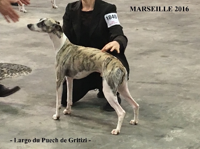 Du Puech De Gritizi - 27 Novembre 2016. Expo Marseille