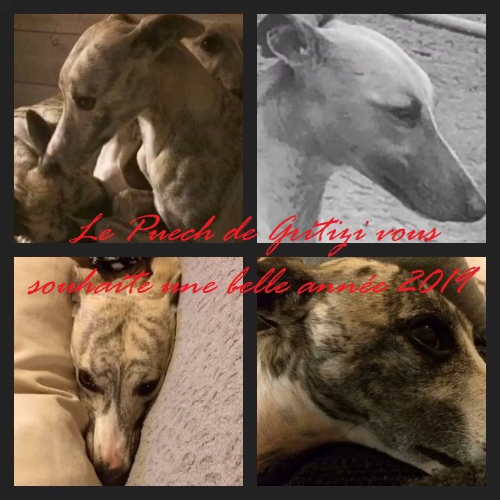 Du Puech De Gritizi - 1 janvier 2019