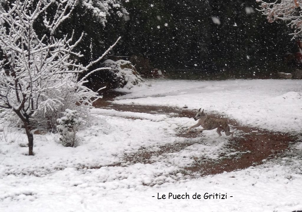 Du Puech De Gritizi - 26 février 2018 - Le Puech sous la neige 4-