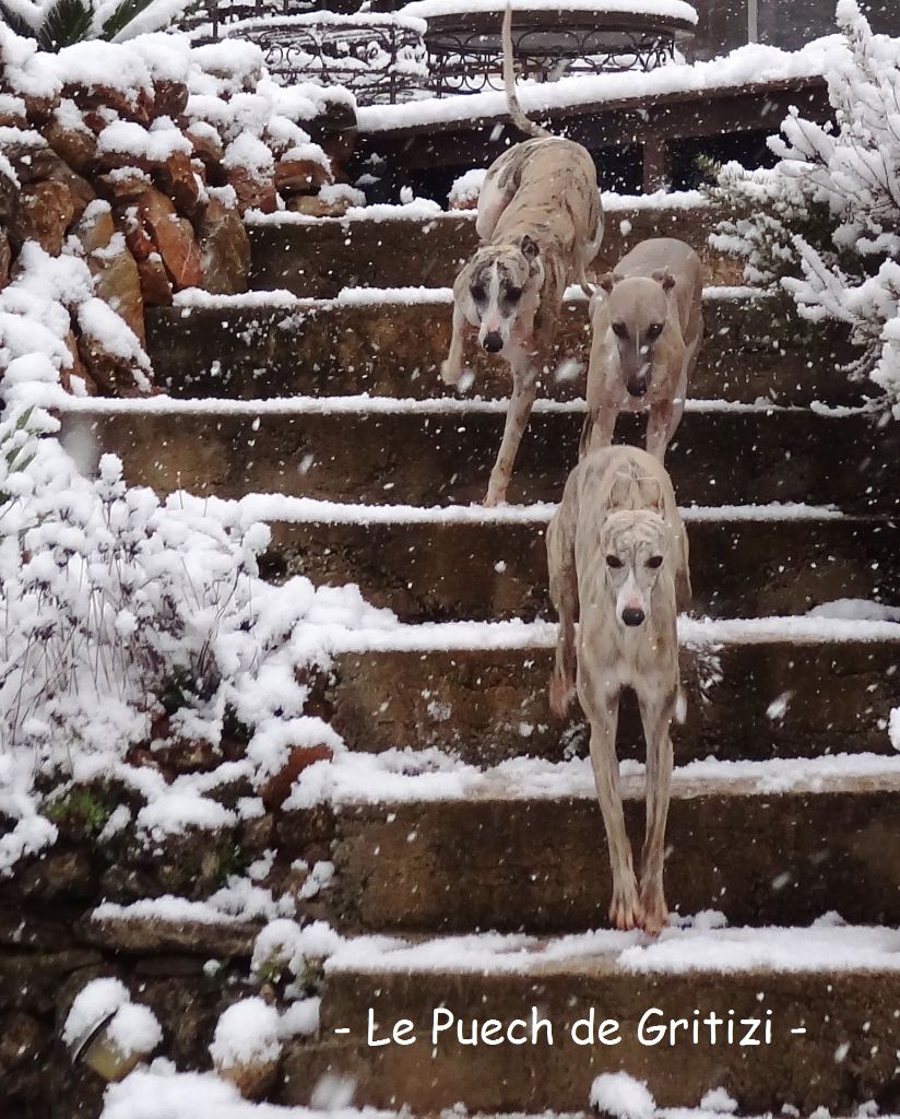 Du Puech De Gritizi - 26 février 2018 - Le Puech sous la neige 2 -