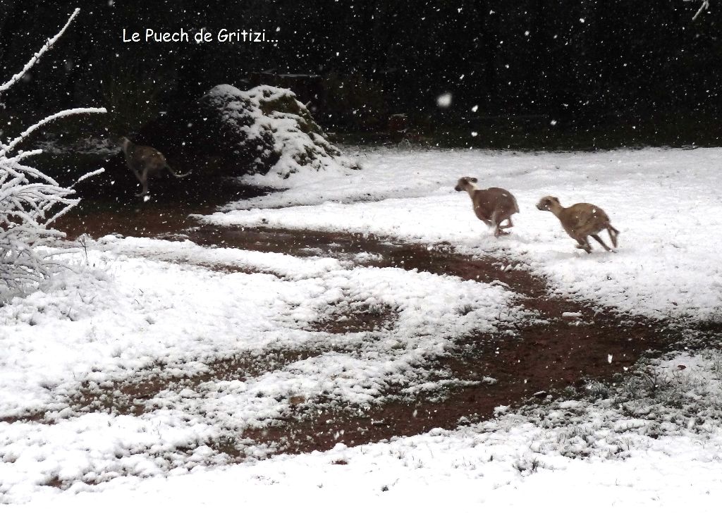 Du Puech De Gritizi - 26 février 2018 - Le Puech sous la neige 5-