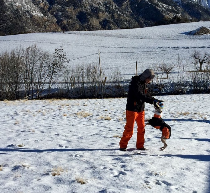 Du Puech De Gritizi - 12 février 2016. L'Alto.